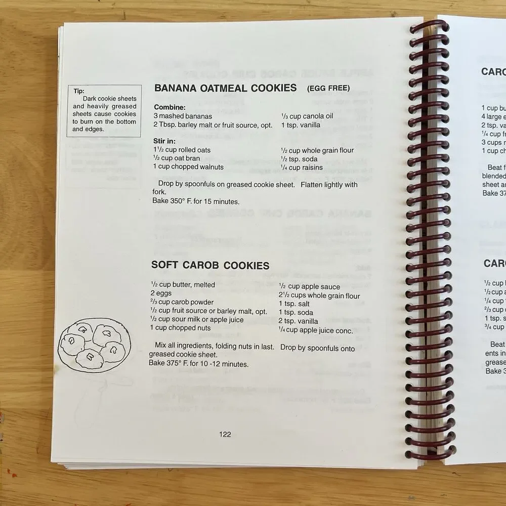 Wow This Is Sugarfree And Low Cholesterol Cookbook Amish Allergy Free Cooking